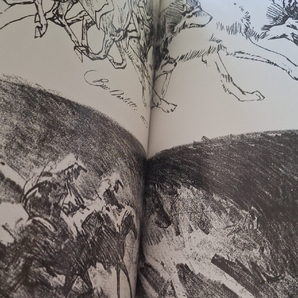 The Art of Bev Doolittle - Picture 13 of 16